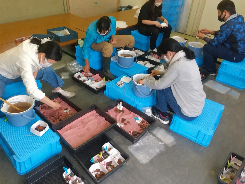 整理作業スタッフ